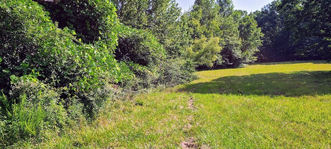 714 Trussell Road Monteagle, TN 37356 - Photo 10 of 27 Gallery Image 10