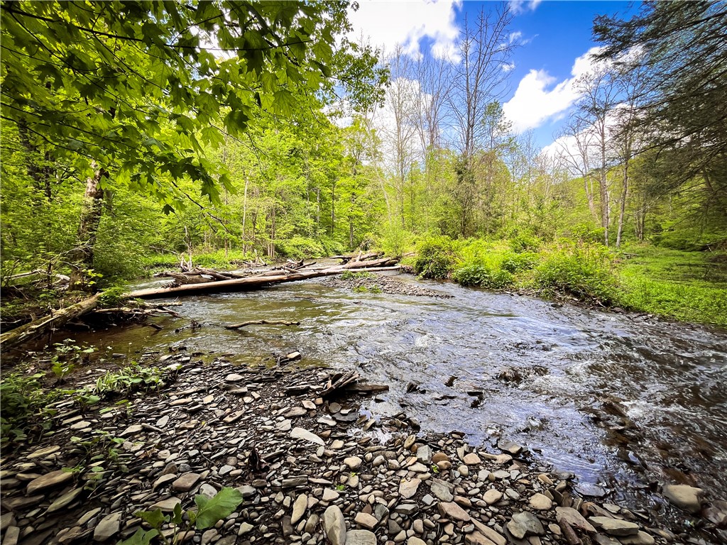 Oak Hill Road Alpine, NY 14805 - Photo 1 of 1 Gallery Image 1