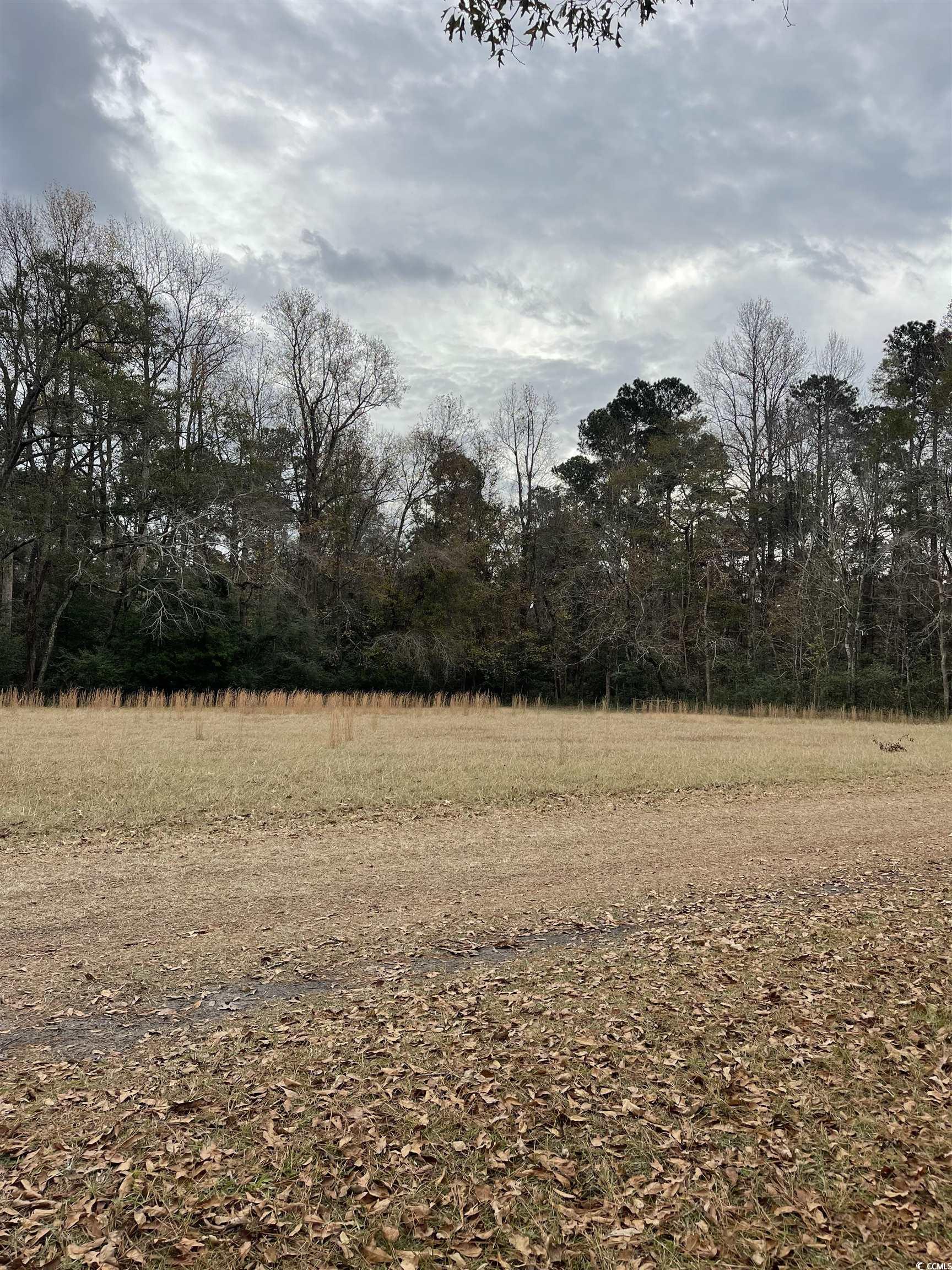 3739 Gurley Road Loris, SC 29569 - Photo 2 of 4 Gallery Image 2
