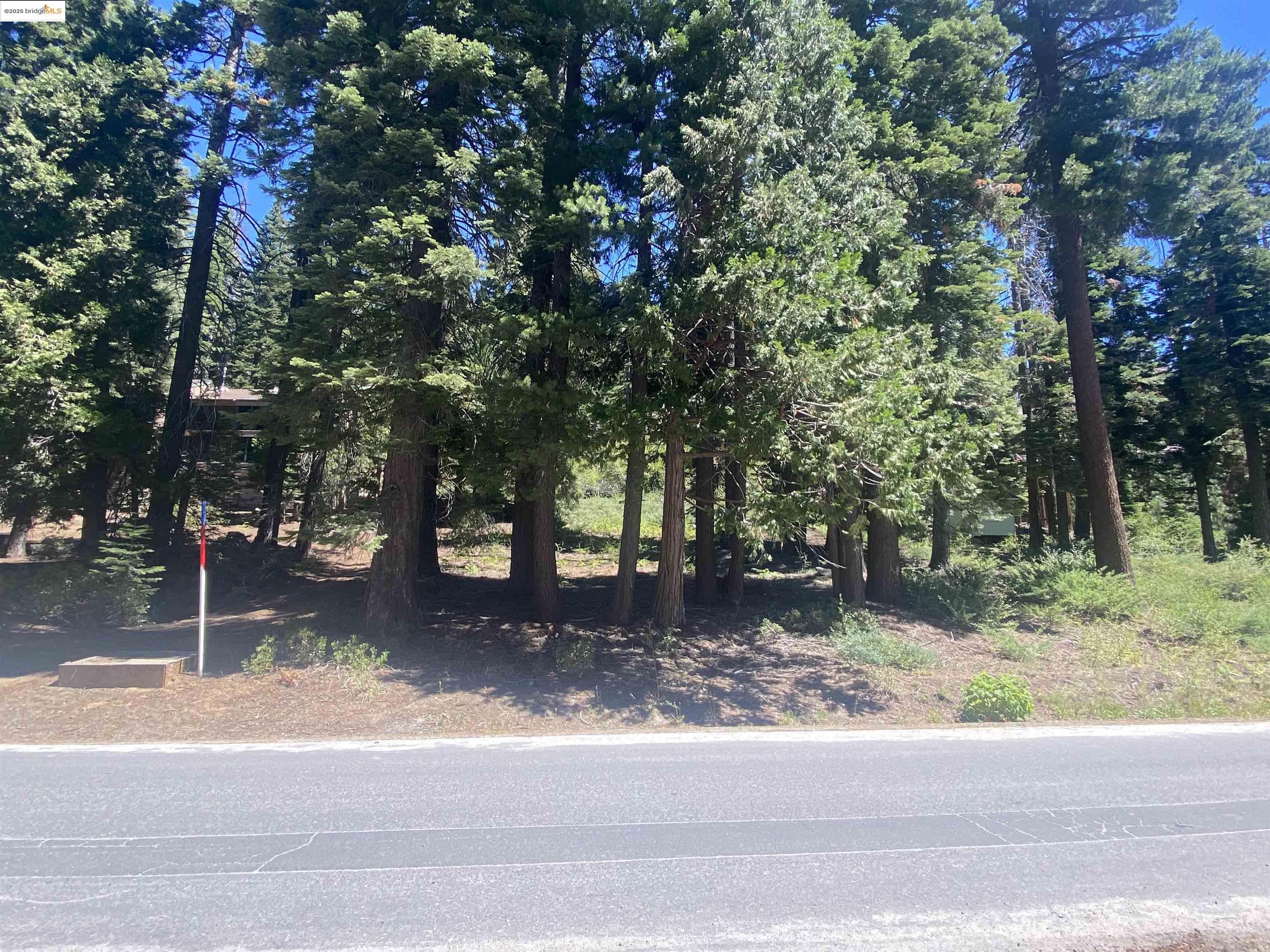 33994 Leland Meadow Road Pinecrest, CA 95364 - Photo 10 of 16 a house view with a tree