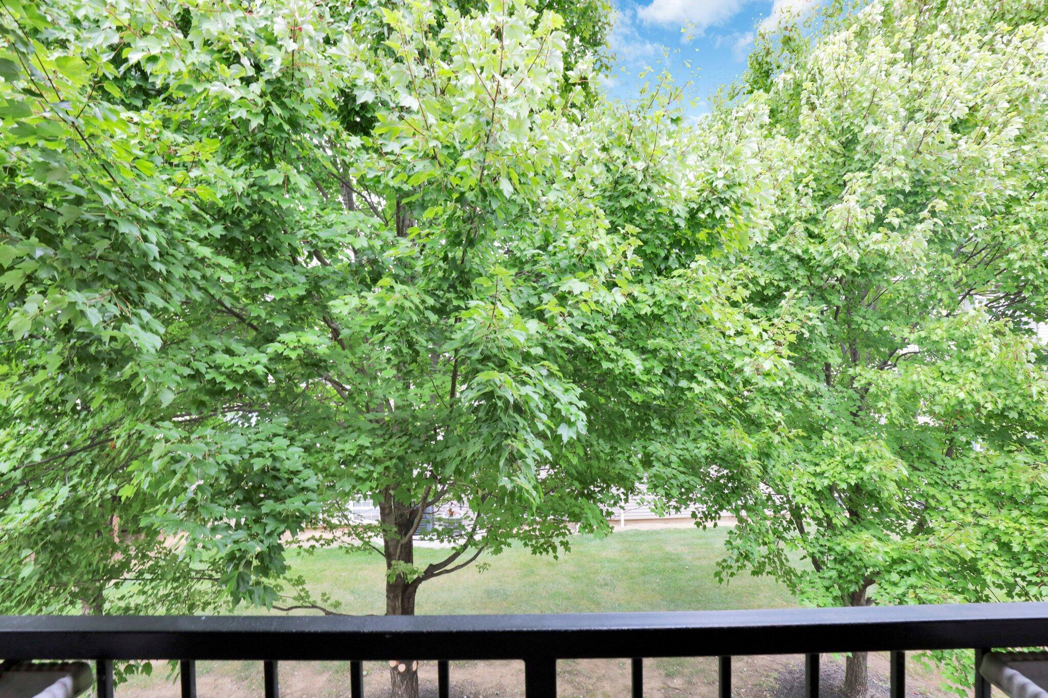 791 Spring Valley Drive Lewis Center, OH 43035 - Photo 24 of 31 31-web-or-mls-IMG_9411