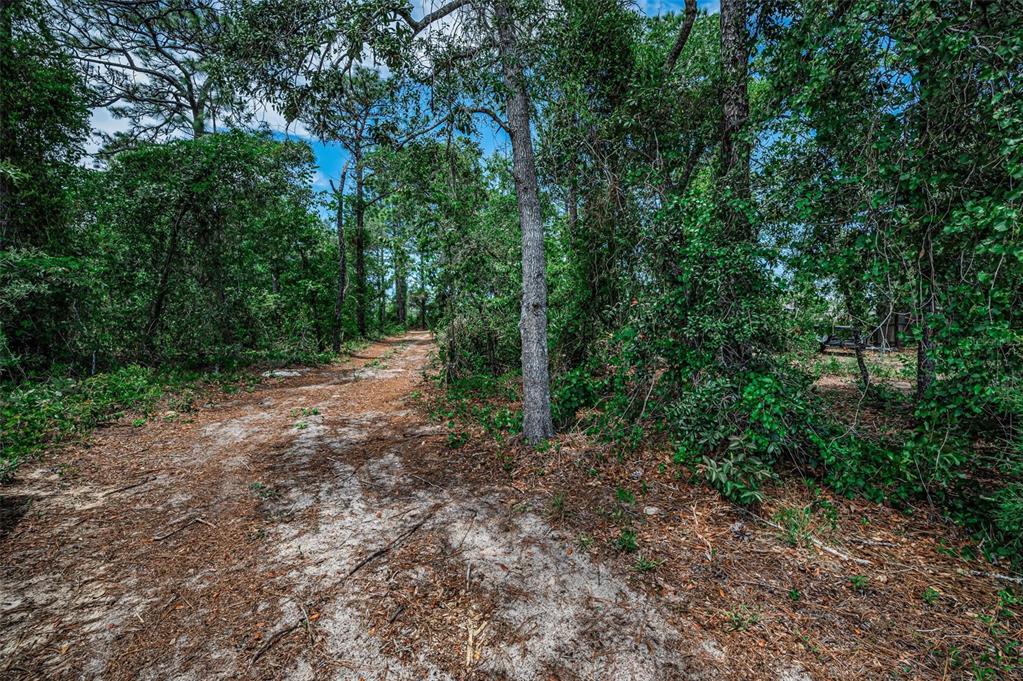 12123 Fulmar Road Weeki Wachee, FL 34614 - Photo 72 of 81