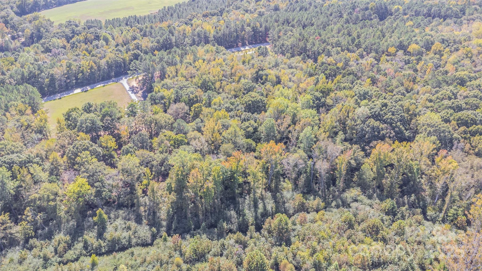 0 Will Evans Road, Unit LOT 2 B Jefferson, SC 29718 - Photo 13 of 15 a view of a yard
