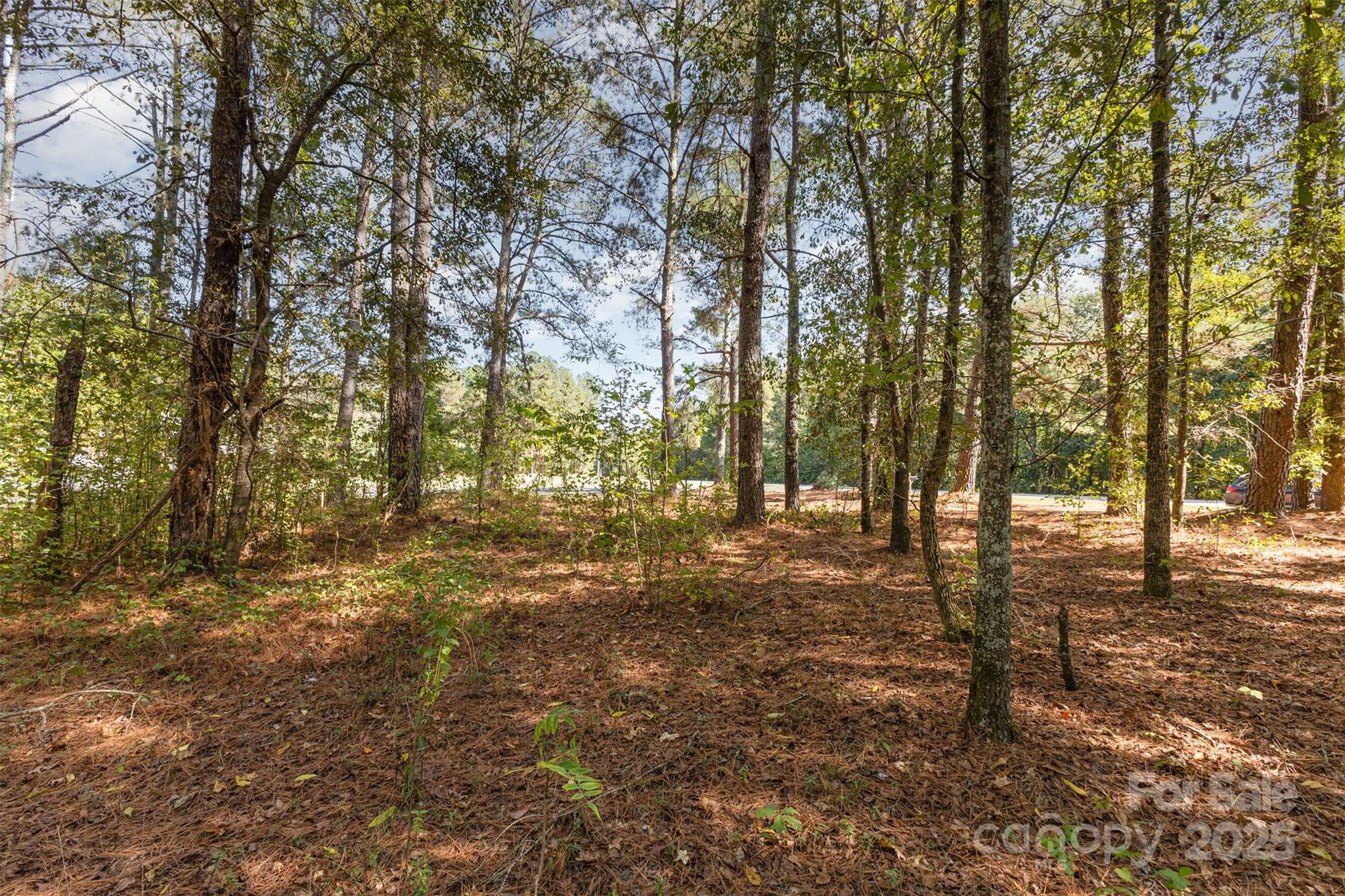 0 Will Evans Road, Unit LOT 2 B Jefferson, SC 29718 - Photo 2 of 15 a view of a yard with trees