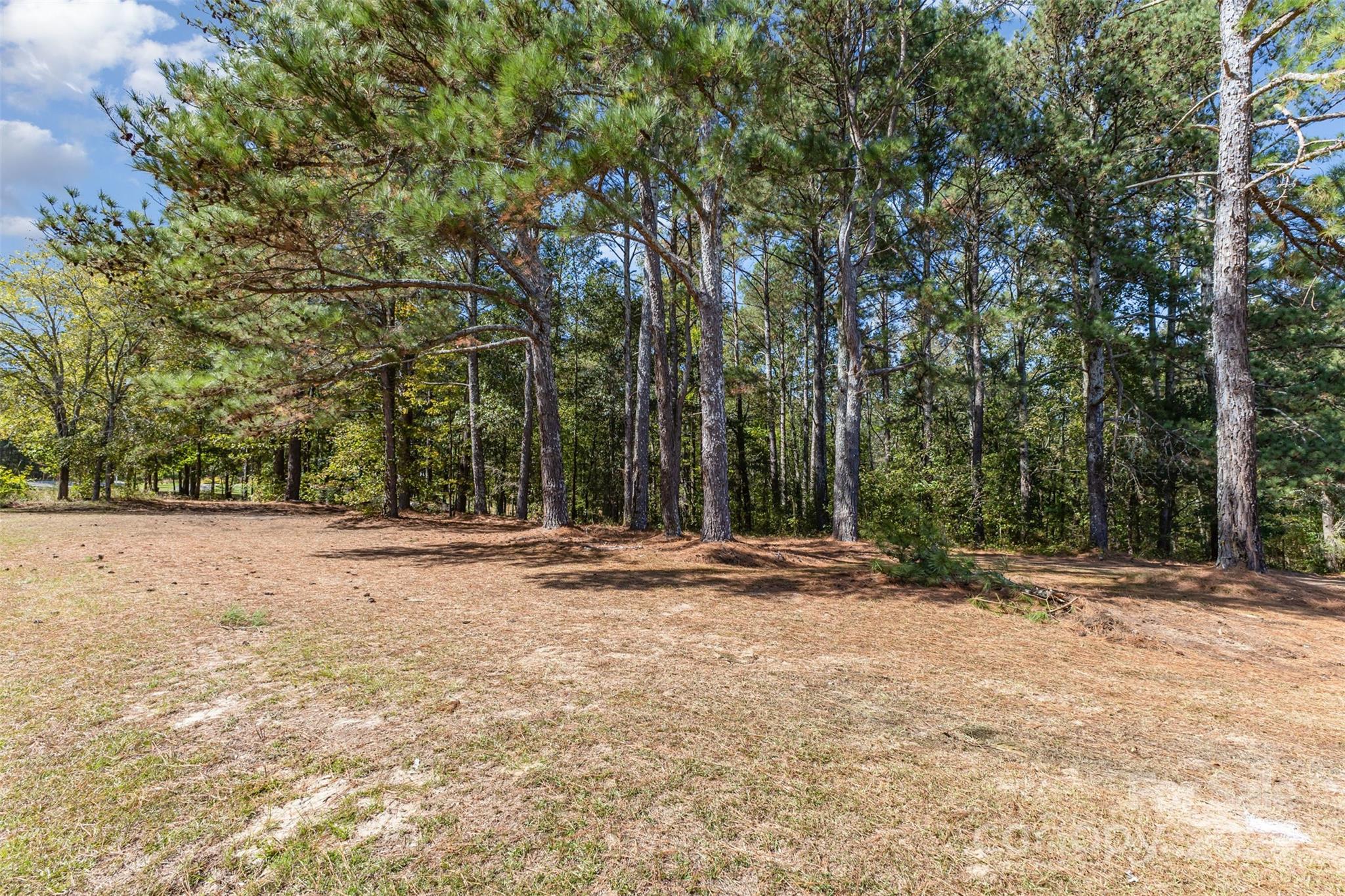 0 Will Evans Road, Unit LOT 2 B Jefferson, SC 29718 - Photo 4 of 15 a backyard of a house with trees and outdoor space