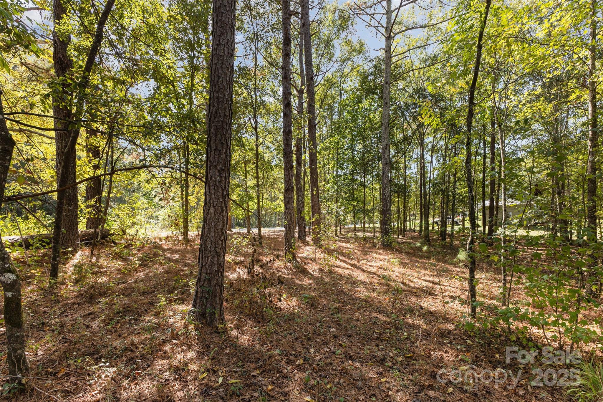 0 Will Evans Road, Unit LOT 2 B Jefferson, SC 29718 - Photo 6 of 15 a view of outdoor space and yard