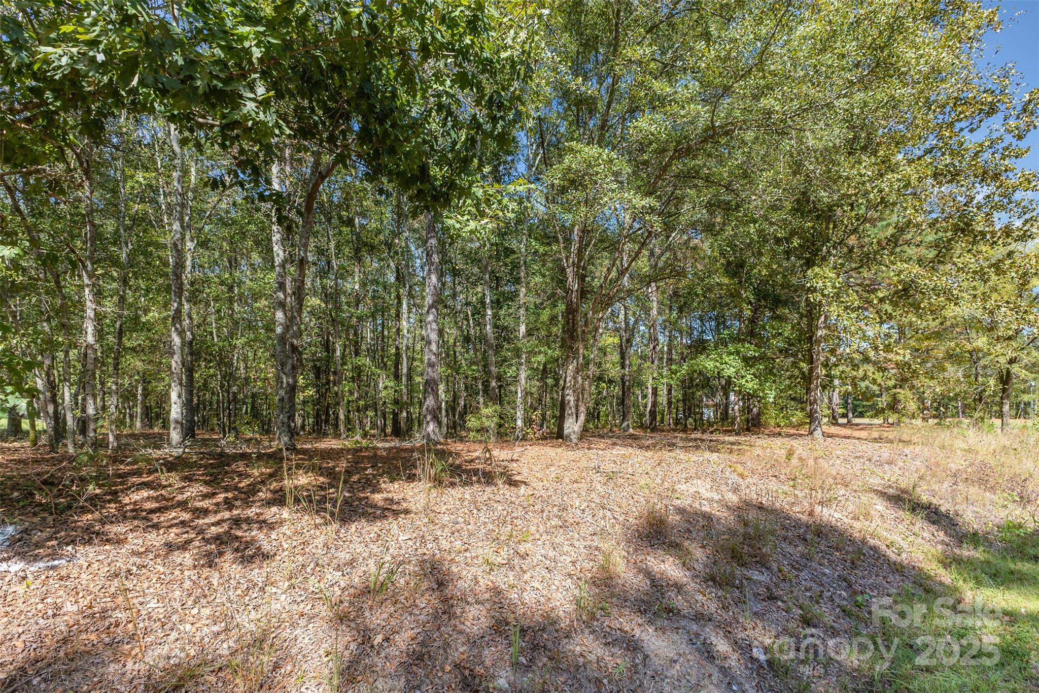 0 Will Evans Road, Unit LOT 2 B Jefferson, SC 29718 - Photo 9 of 15 a view of outdoor space with trees all around