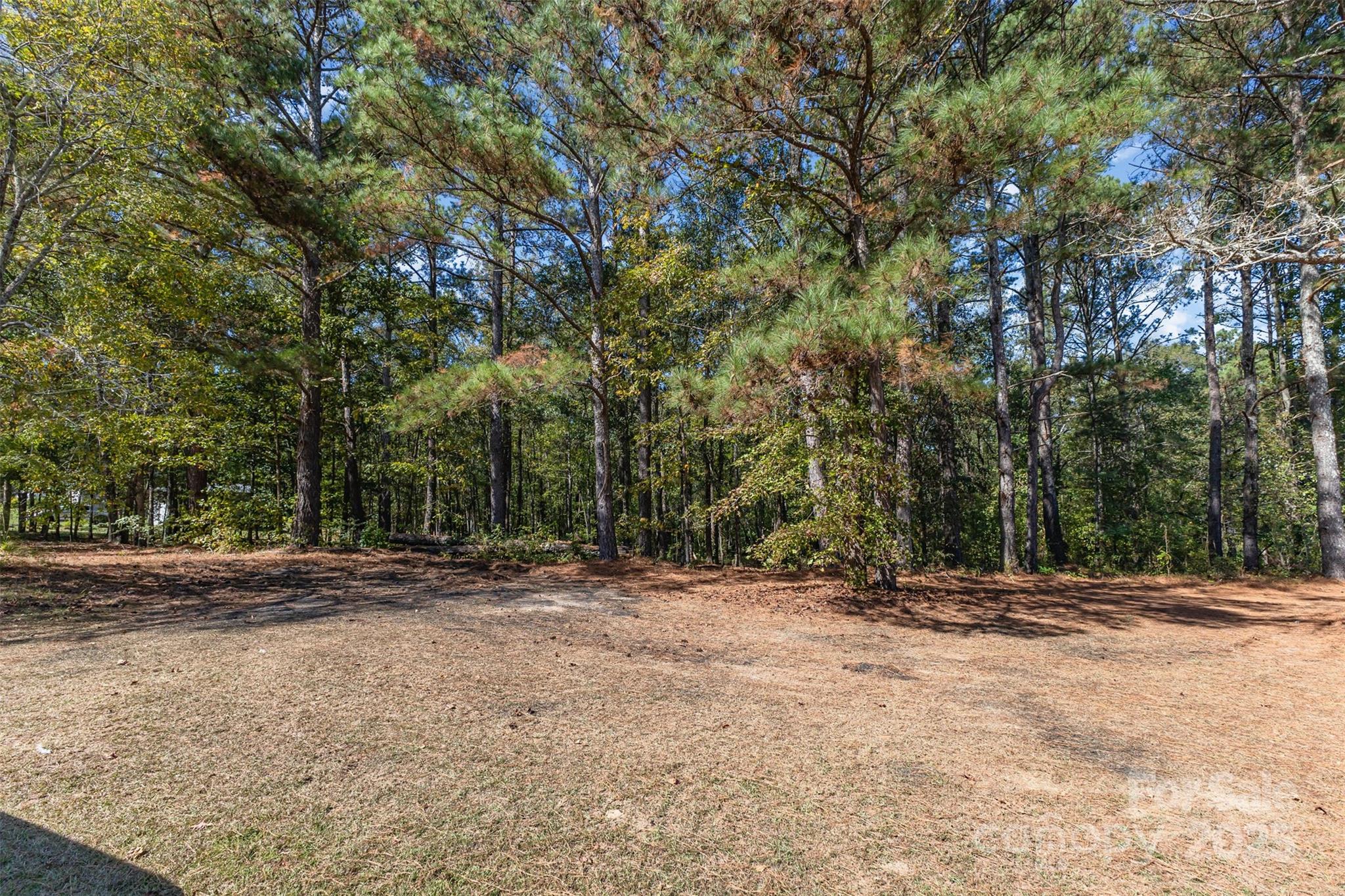 0 Will Evans Road, Unit LOT 2 B Jefferson, SC 29718 - Photo 10 of 15 a view of outdoor space with trees