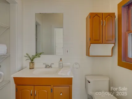 a view of a small yard in front of a house with large trees and plants