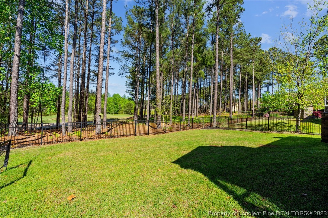 773 Micahs Way North Spring Lake, NC 28390 - Photo 23 of 30 Gallery Image 23