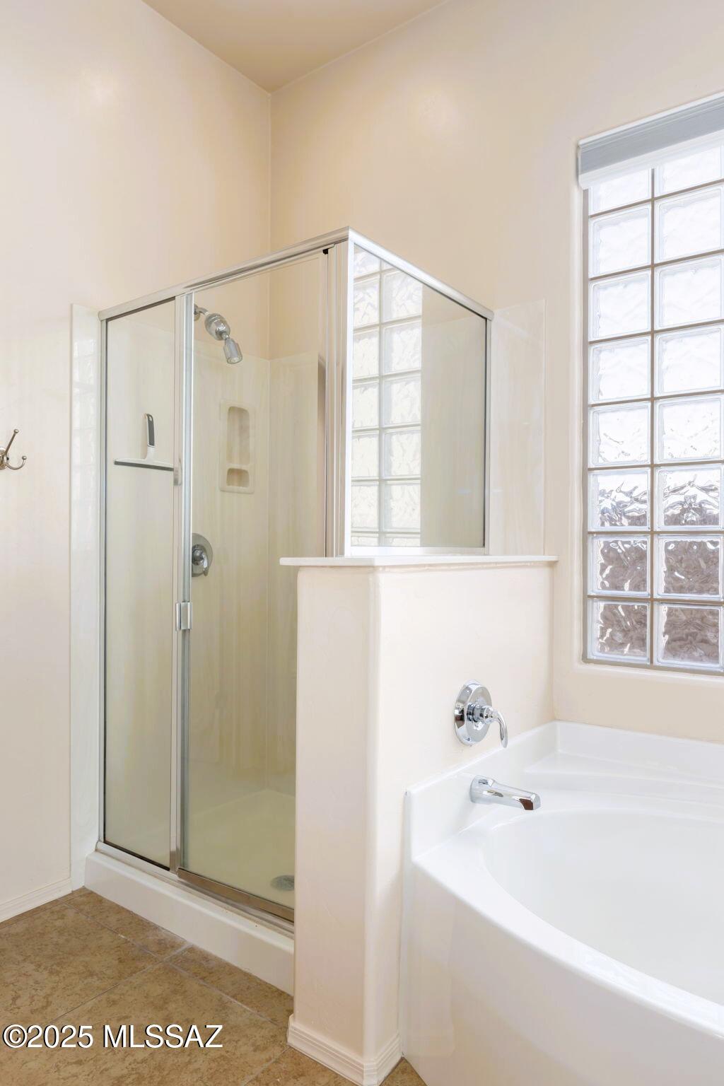 10612 South Blackhawk Ridge Place Vail, AZ 85641 - Photo 5 of 40 12-Primary Bathroom