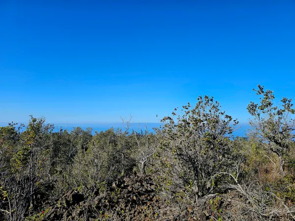 $57,000 | 13 Catamaran Lane, Ocean View, HI 96704