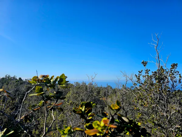 $57,000 | 13 Catamaran Lane, Ocean View, HI 96704