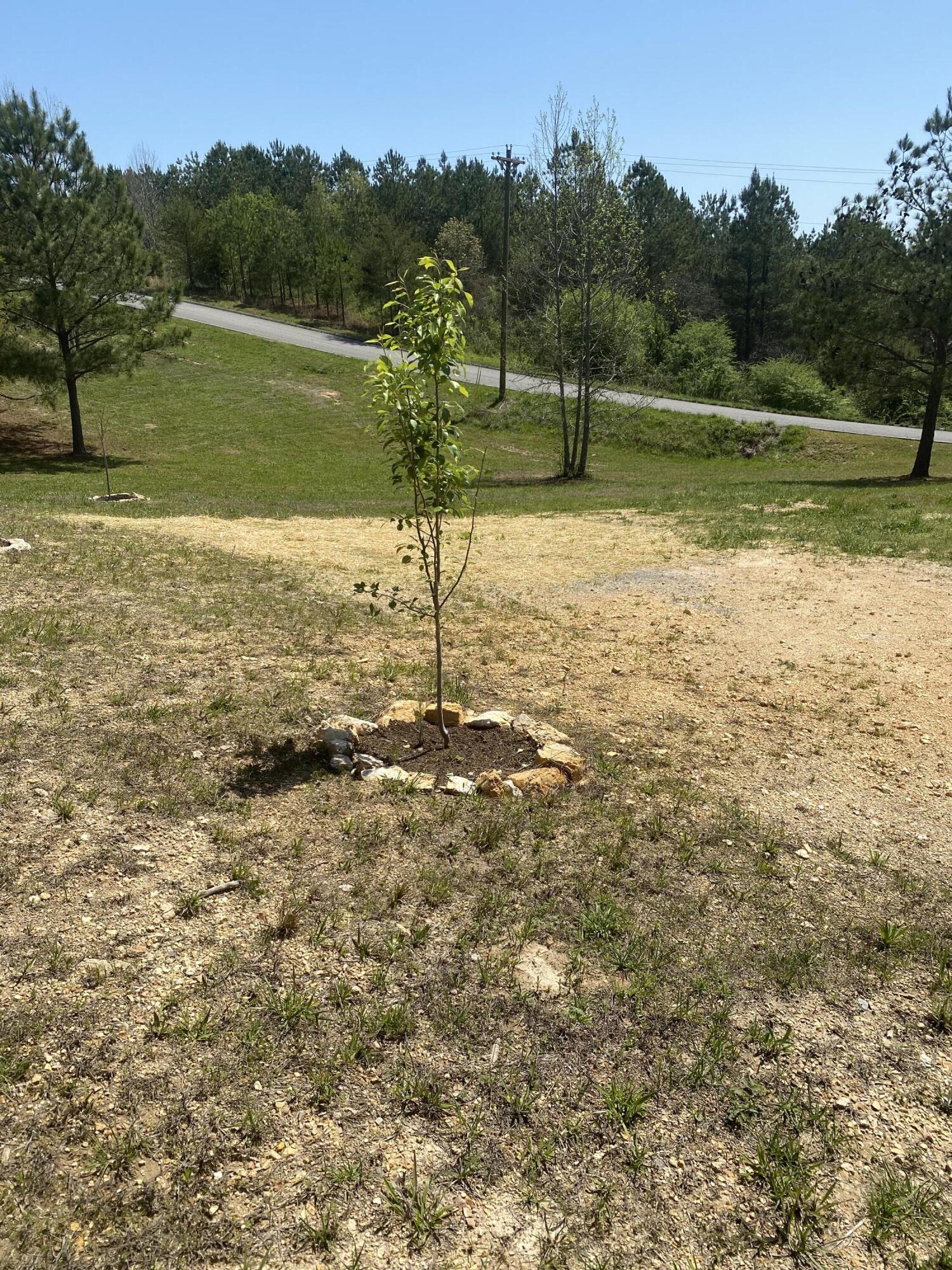 395 Sunny View Road Dayton, TN 37321 - Photo 15 of 80 IMG_2254