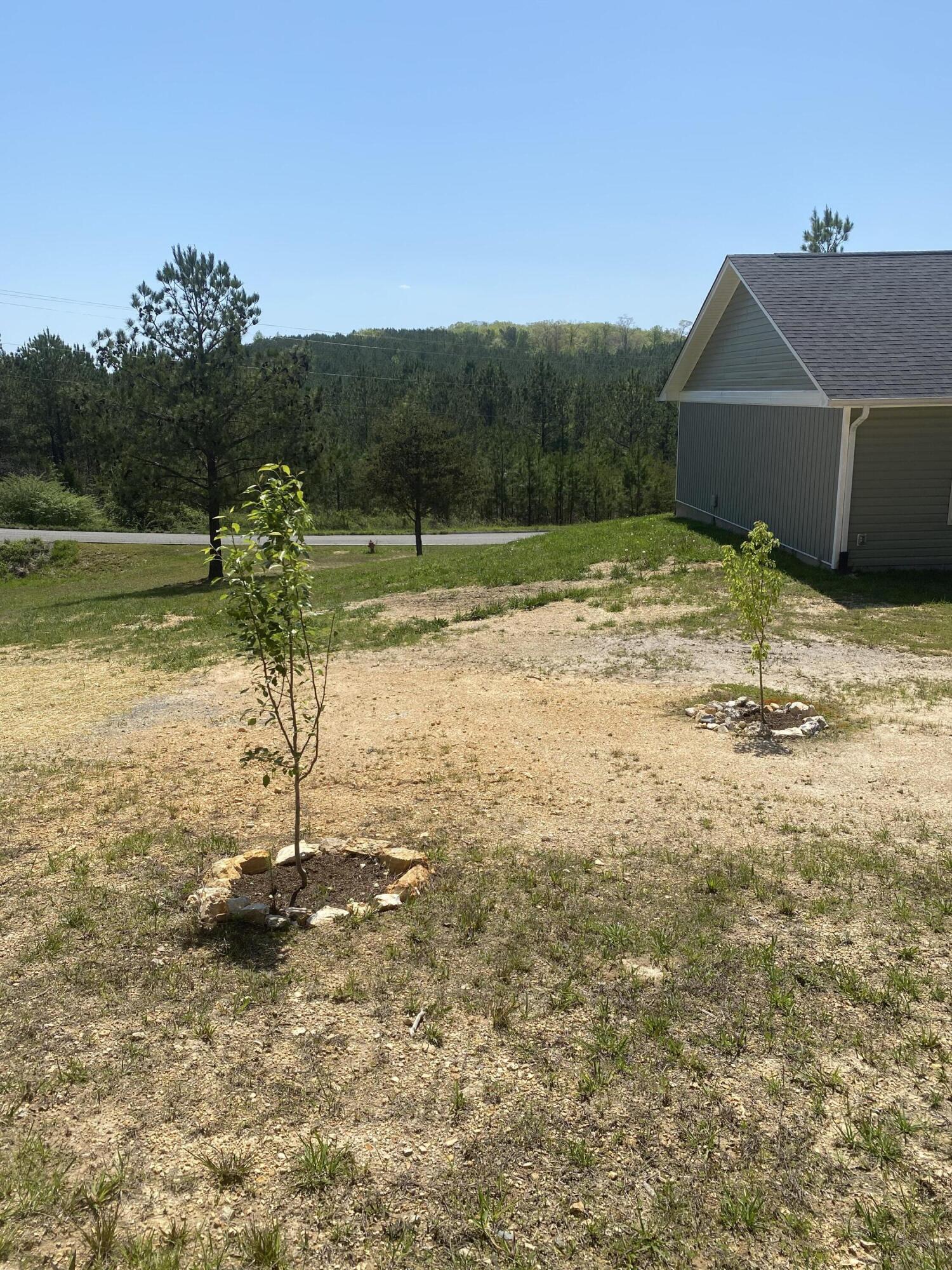 395 Sunny View Road Dayton, TN 37321 - Photo 16 of 80 IMG_2255