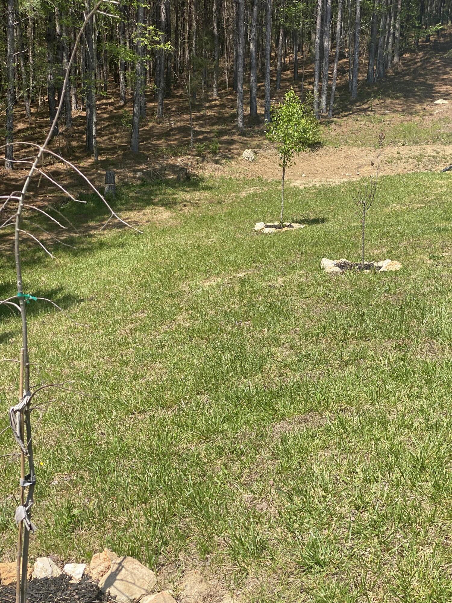 395 Sunny View Road Dayton, TN 37321 - Photo 25 of 80 IMG_2266