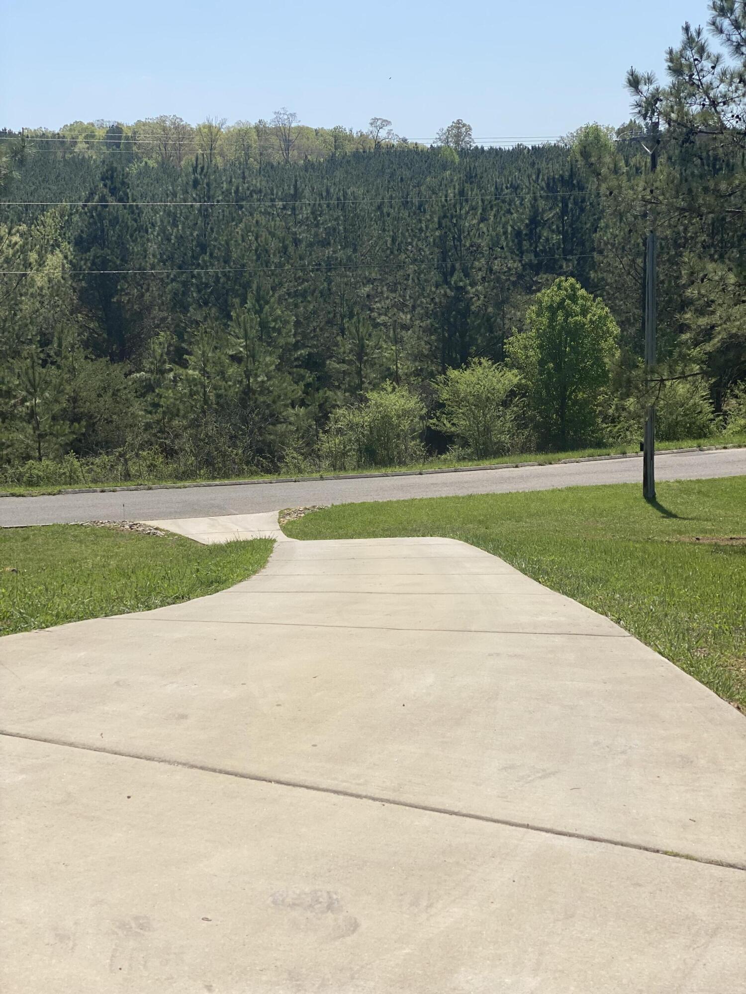 395 Sunny View Road Dayton, TN 37321 - Photo 27 of 80 IMG_2268