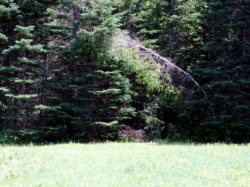 155 Monument Road Amity, ME 04471 - Photo 13 of 26 Photo