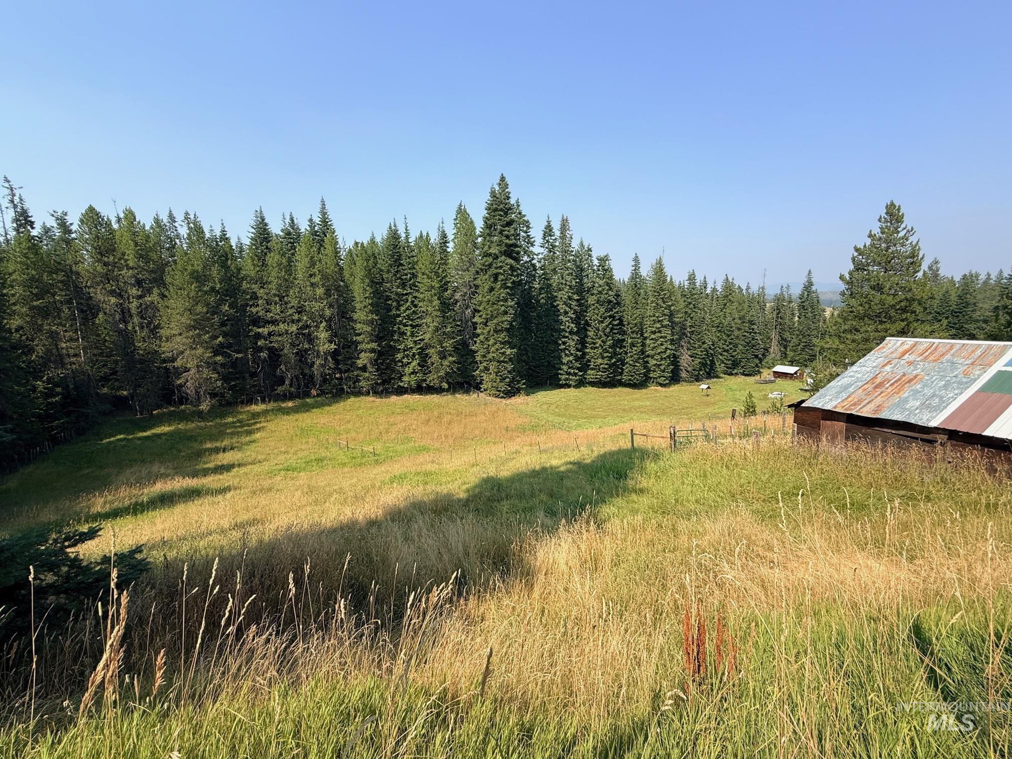126 Aitken Road Weippe, ID 83553 - Photo 22 of 39 Gallery Image 22