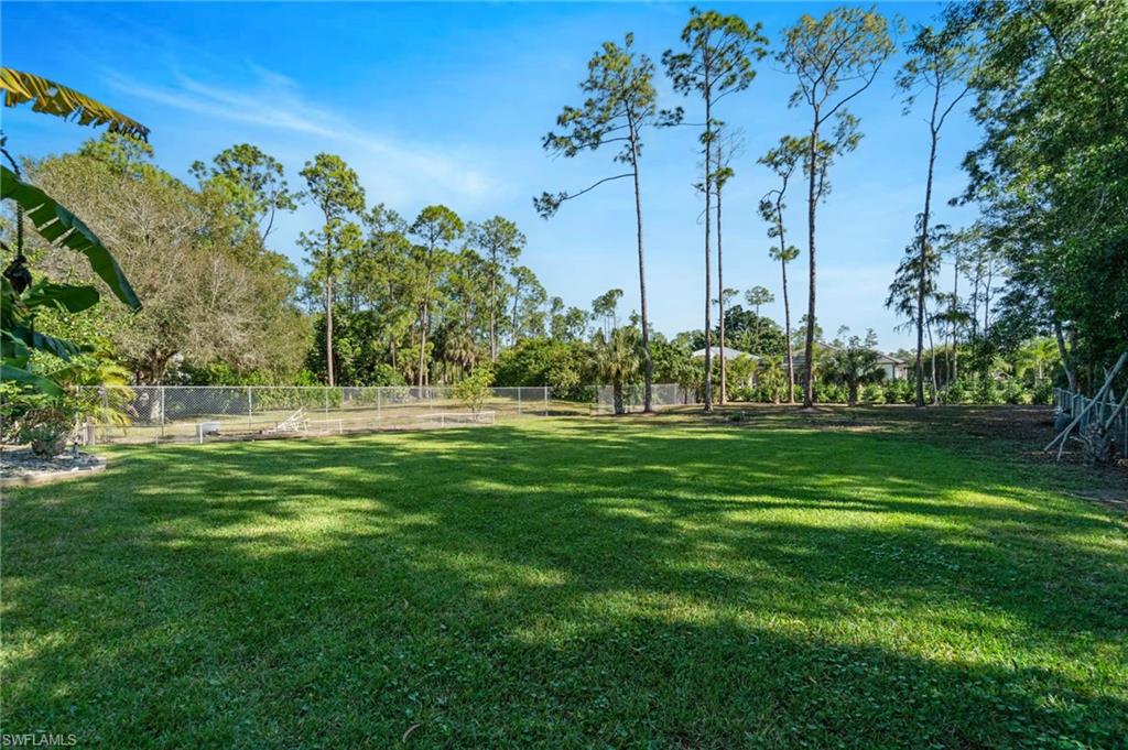 1158 Oakes Boulevard Naples, FL 34119 - Photo 38 of 40 View of yard