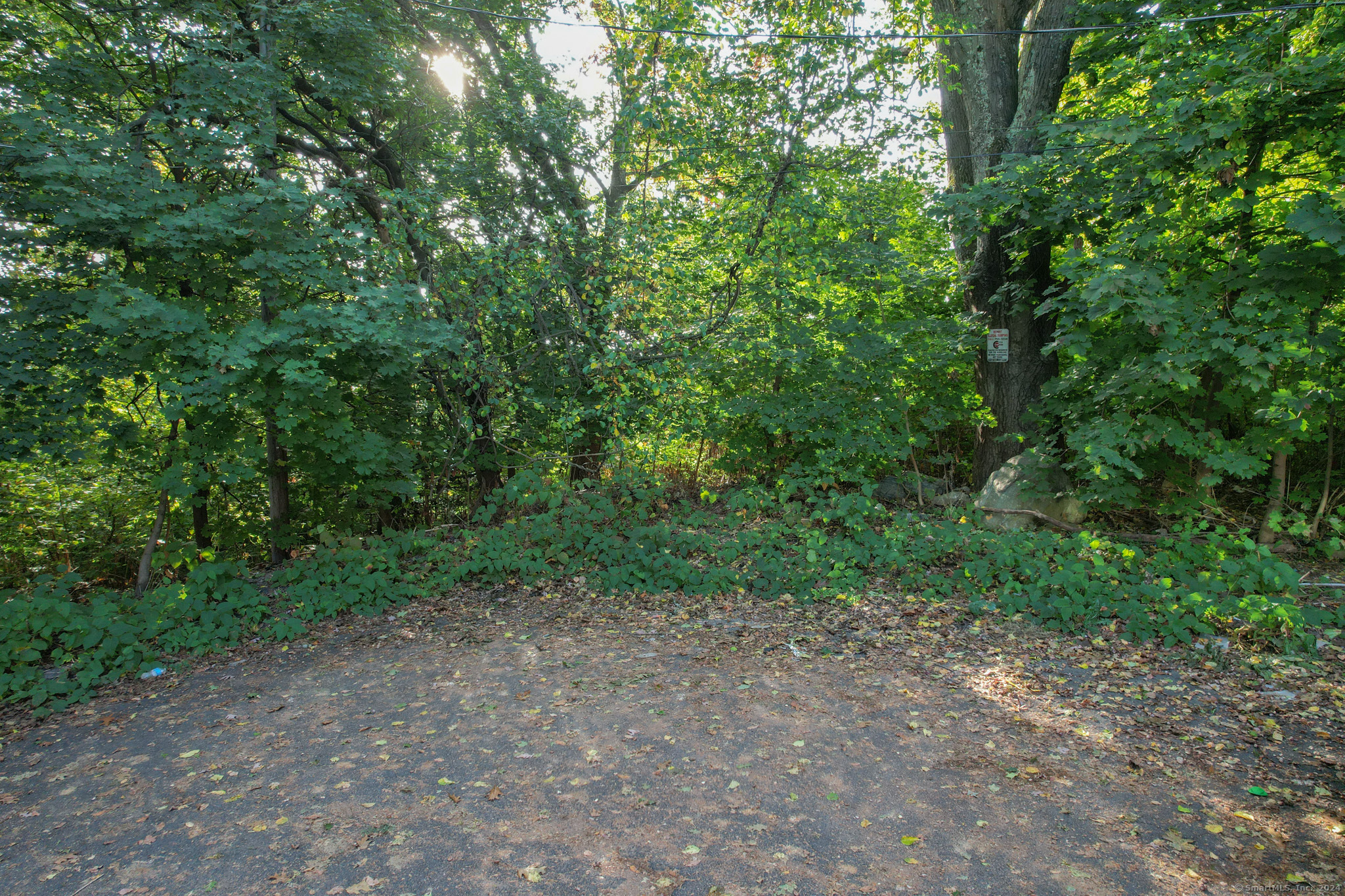 Hungerford Avenue Waterbury, CT 06705 - Photo 2 of 5 a view of a yard with a tree