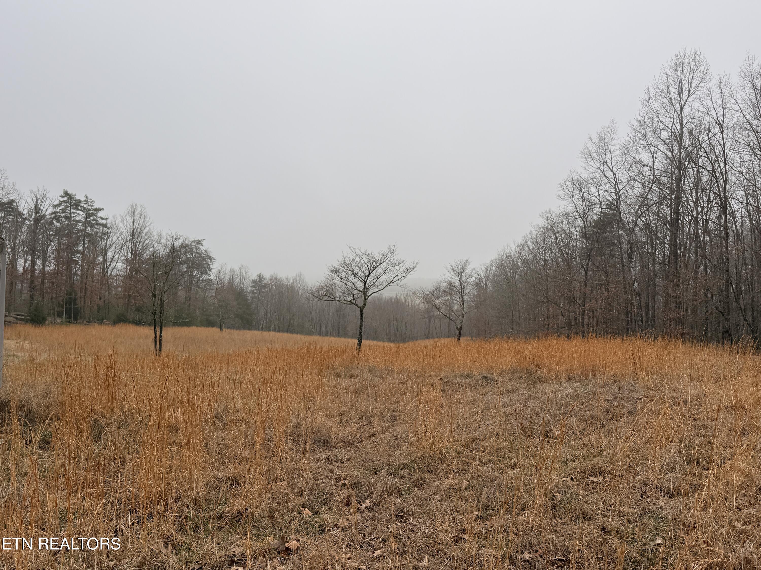 133 Stone Ridge Circle Grandview, TN 37337 - Photo 8 of 24 IMG_1869