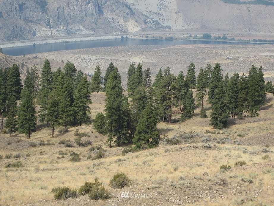 18 Long Draw Road Waterville, WA 98858 - Photo 1 of 6 a view of a dry yard with trees in the background