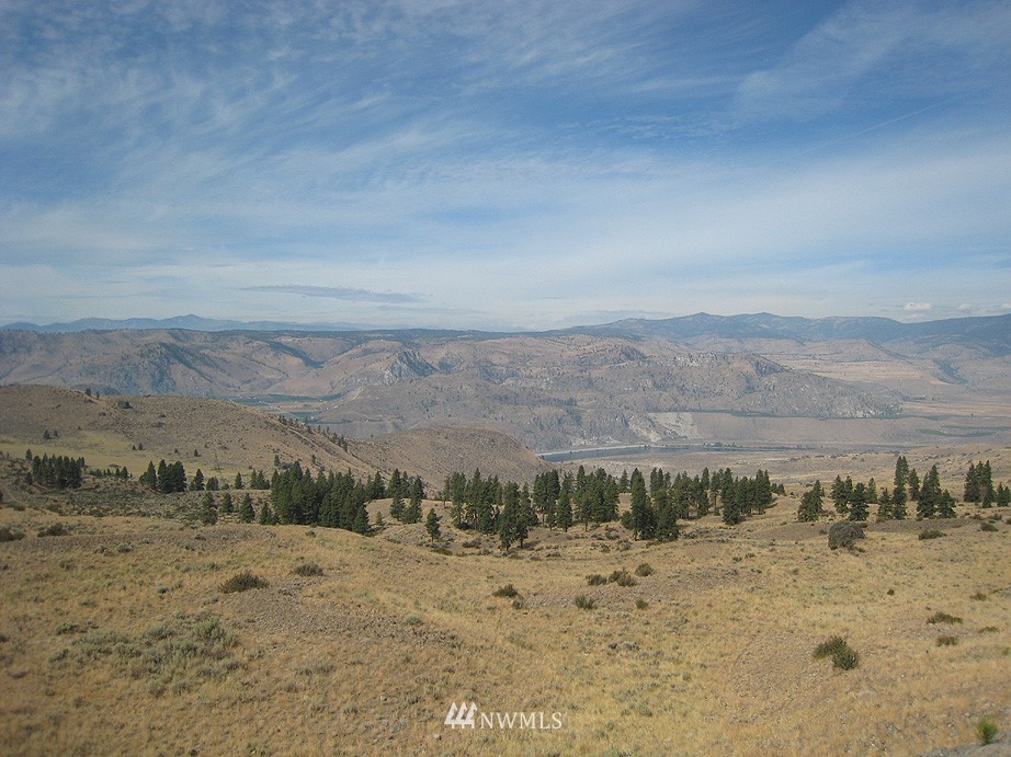 18 Long Draw Road Waterville, WA 98858 - Photo 4 of 6 a view of a dry yard with mountain and trees
