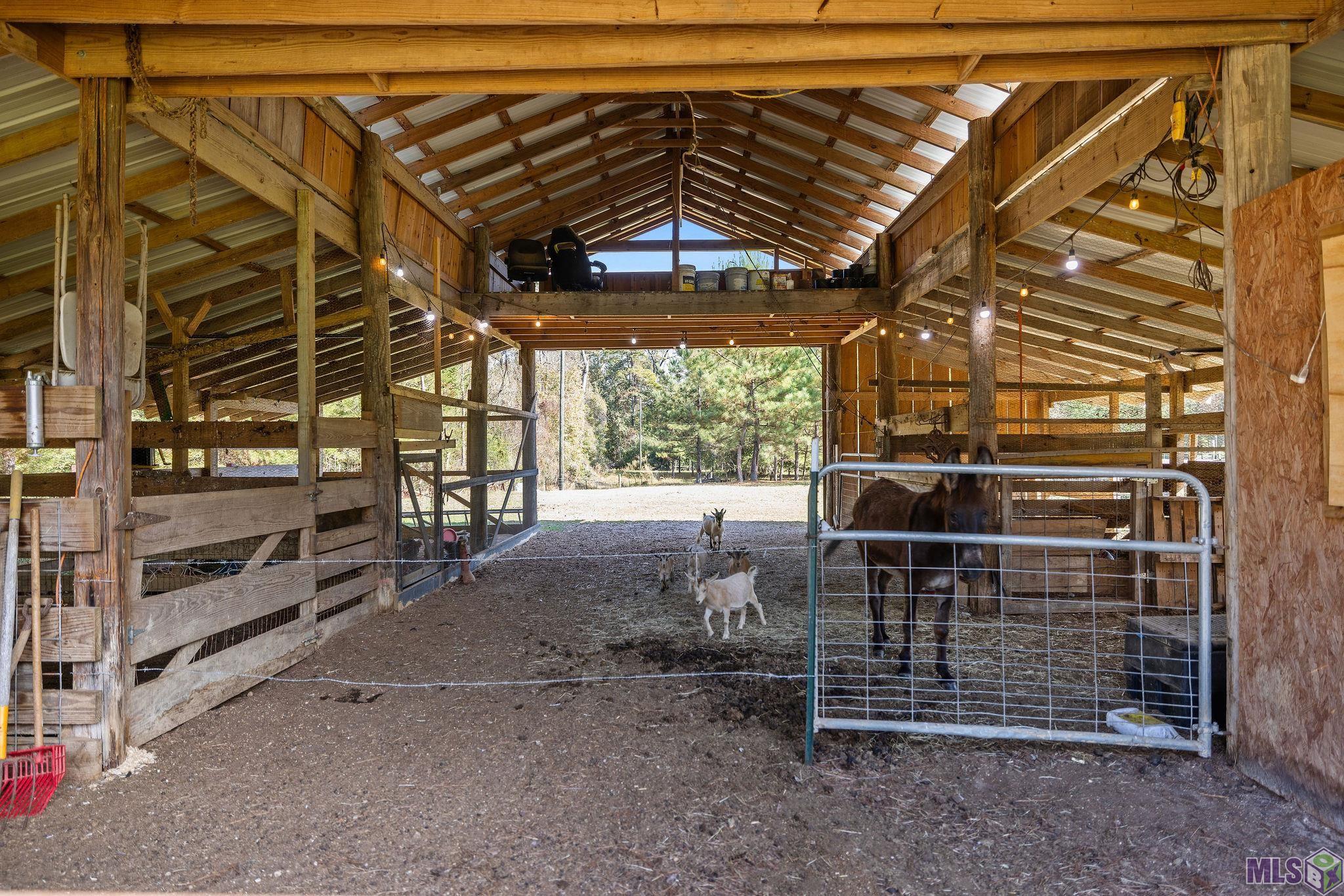 32028 North Doyle Road Holden, LA 70744 - Photo 17 of 29 Animals are negotiable!