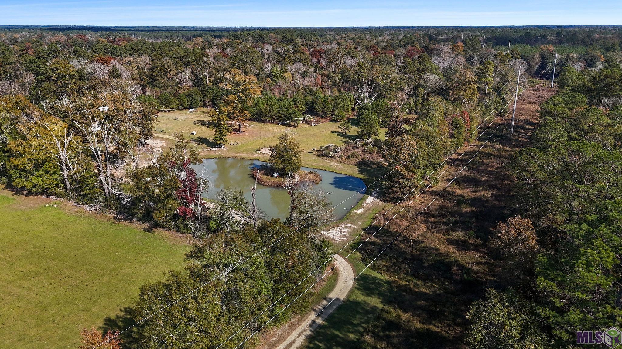 32028 North Doyle Road Holden, LA 70744 - Photo 20 of 37