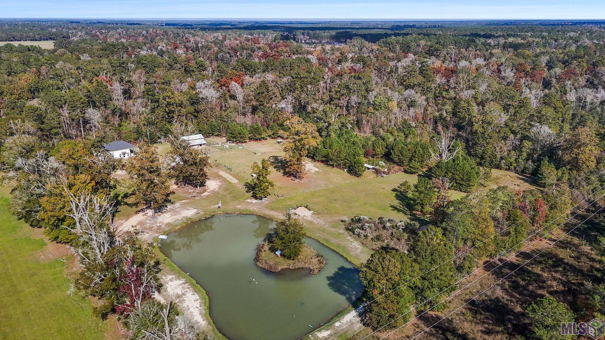 32028 North Doyle Road Holden, LA 70744 - Photo 21 of 37