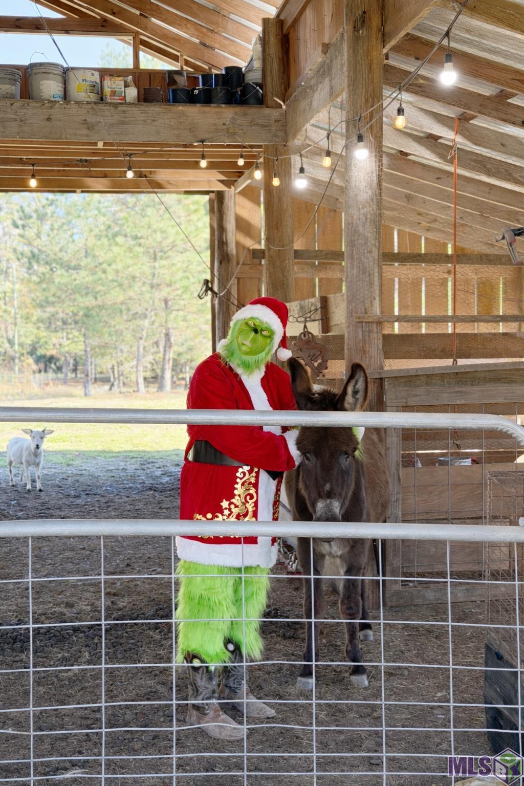 32028 North Doyle Road Holden, LA 70744 - Photo 32 of 37