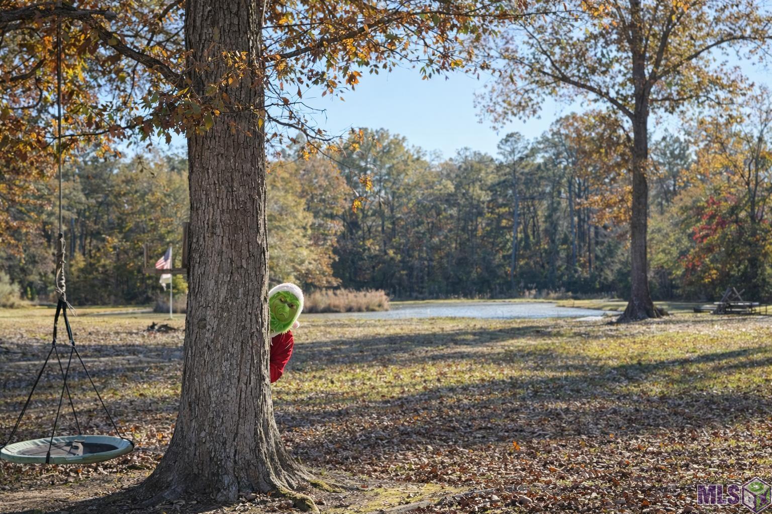 32028 North Doyle Road Holden, LA 70744 - Photo 34 of 37