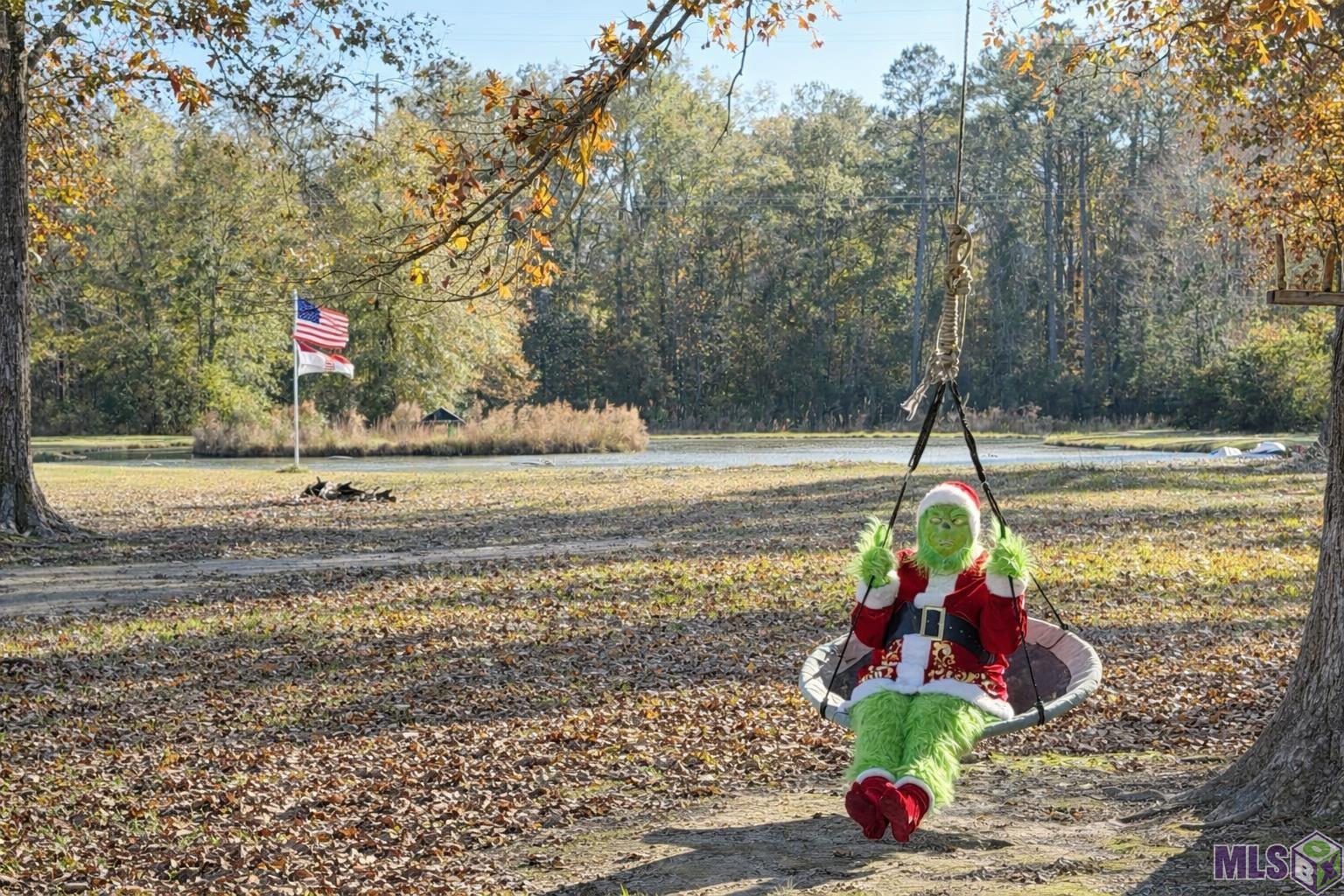 32028 North Doyle Road Holden, LA 70744 - Photo 37 of 37