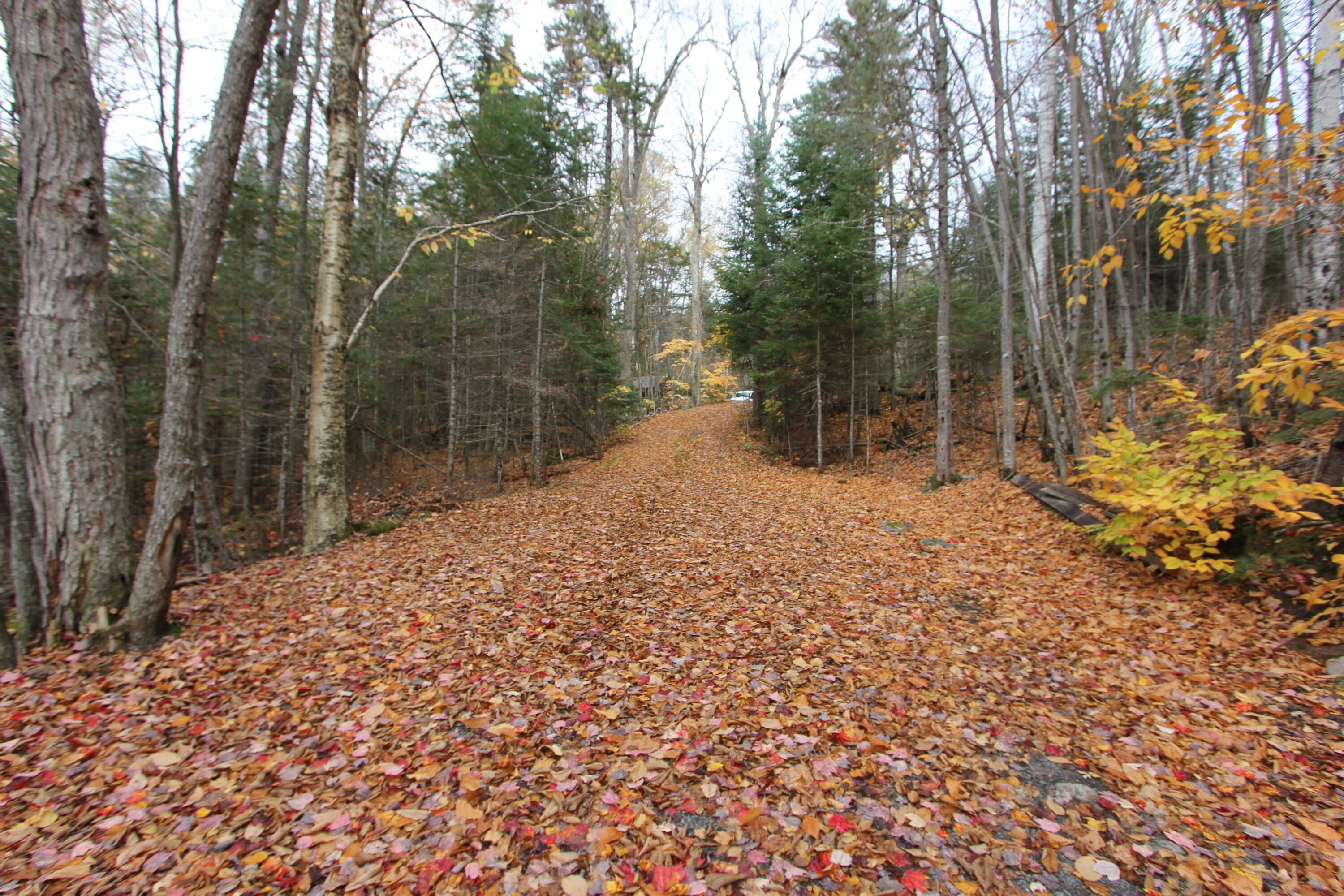 331 Birches Beach Road Oquossoc, ME 04964 - Photo 68 of 94 IMG_7849