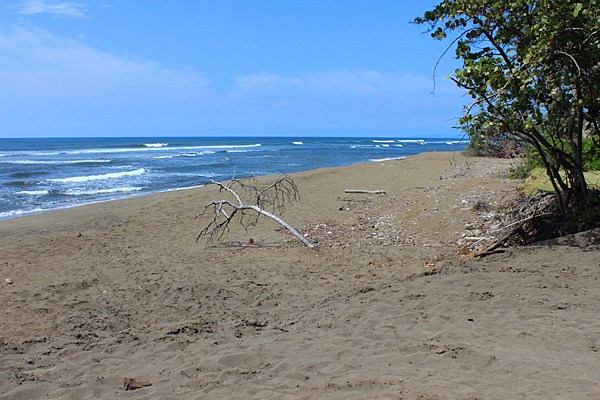 Mamo Road, Unit 1 Kekaha, HI 96752 - Photo 6 of 8 Gallery Image 6