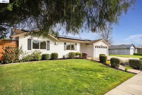 a view of a yard with a house and a large tree