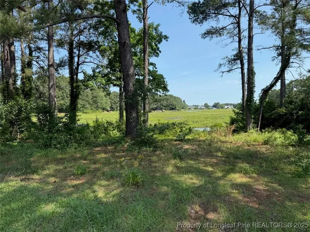 a big yard with lots of green space and trees