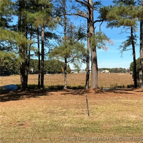 a view of a road with a yard