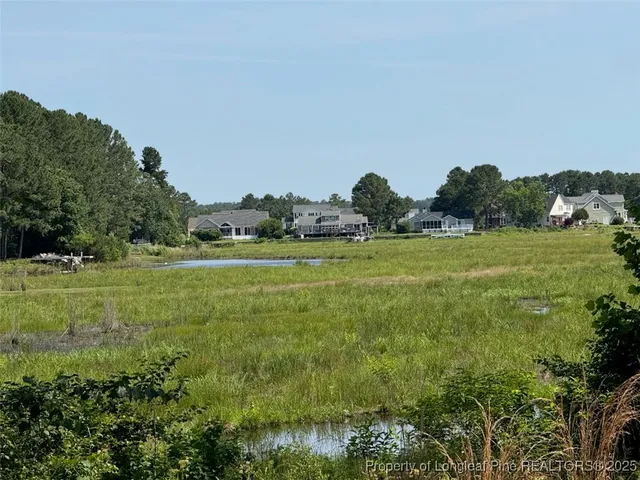 a view of a grassy field with trees