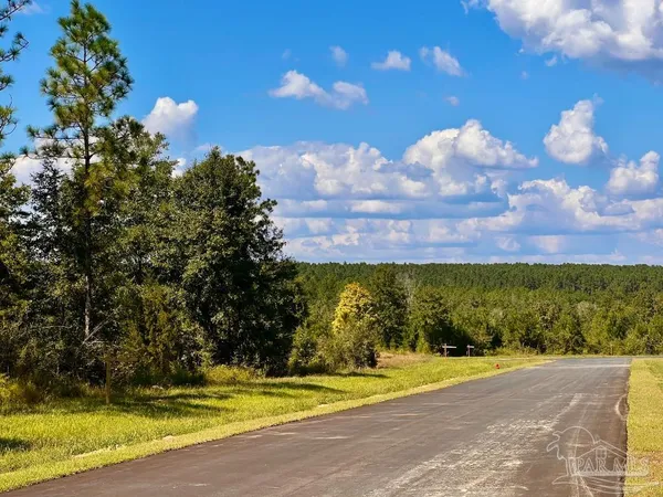 $165,000 | Lot 13 Morgans Branch, Molino, FL 32577