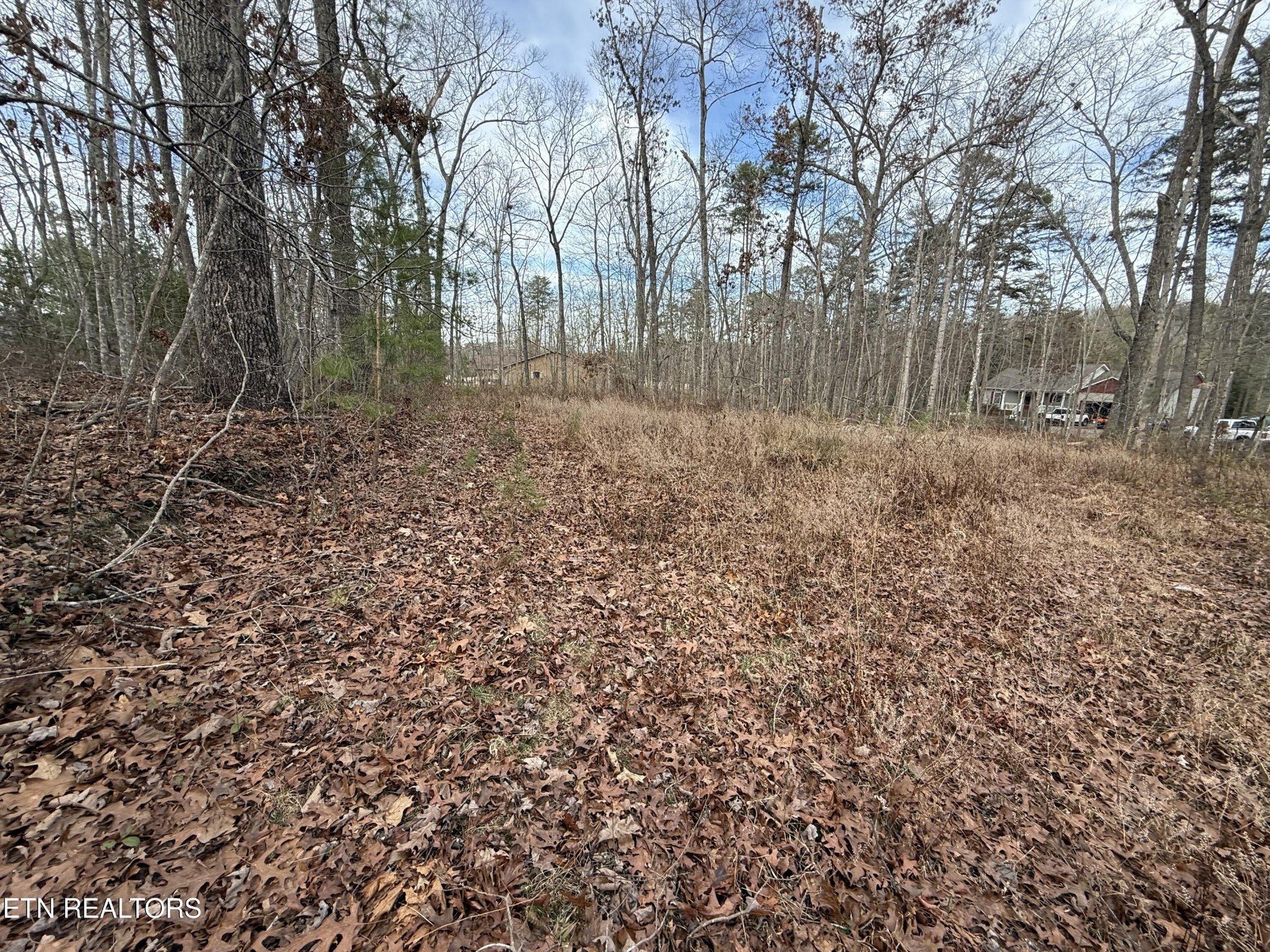 0 Cliffmont Road Jamestown, TN 38556 - Photo 3 of 8