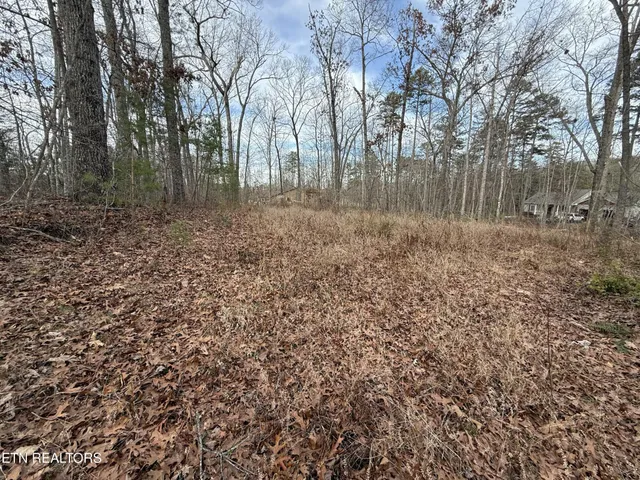 a view of backyard with green space