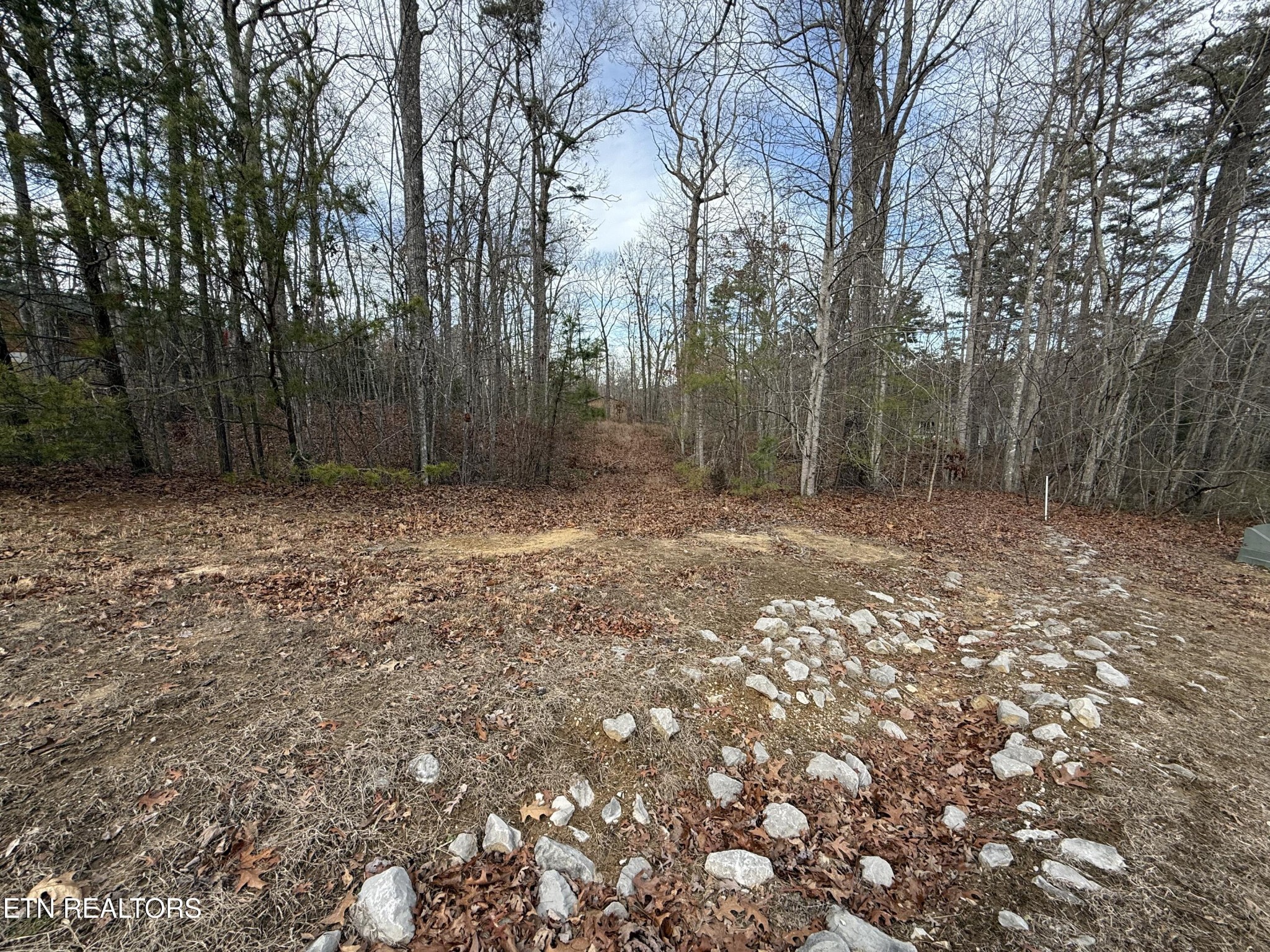 0 Cliffmont Road Jamestown, TN 38556 - Photo 5 of 8