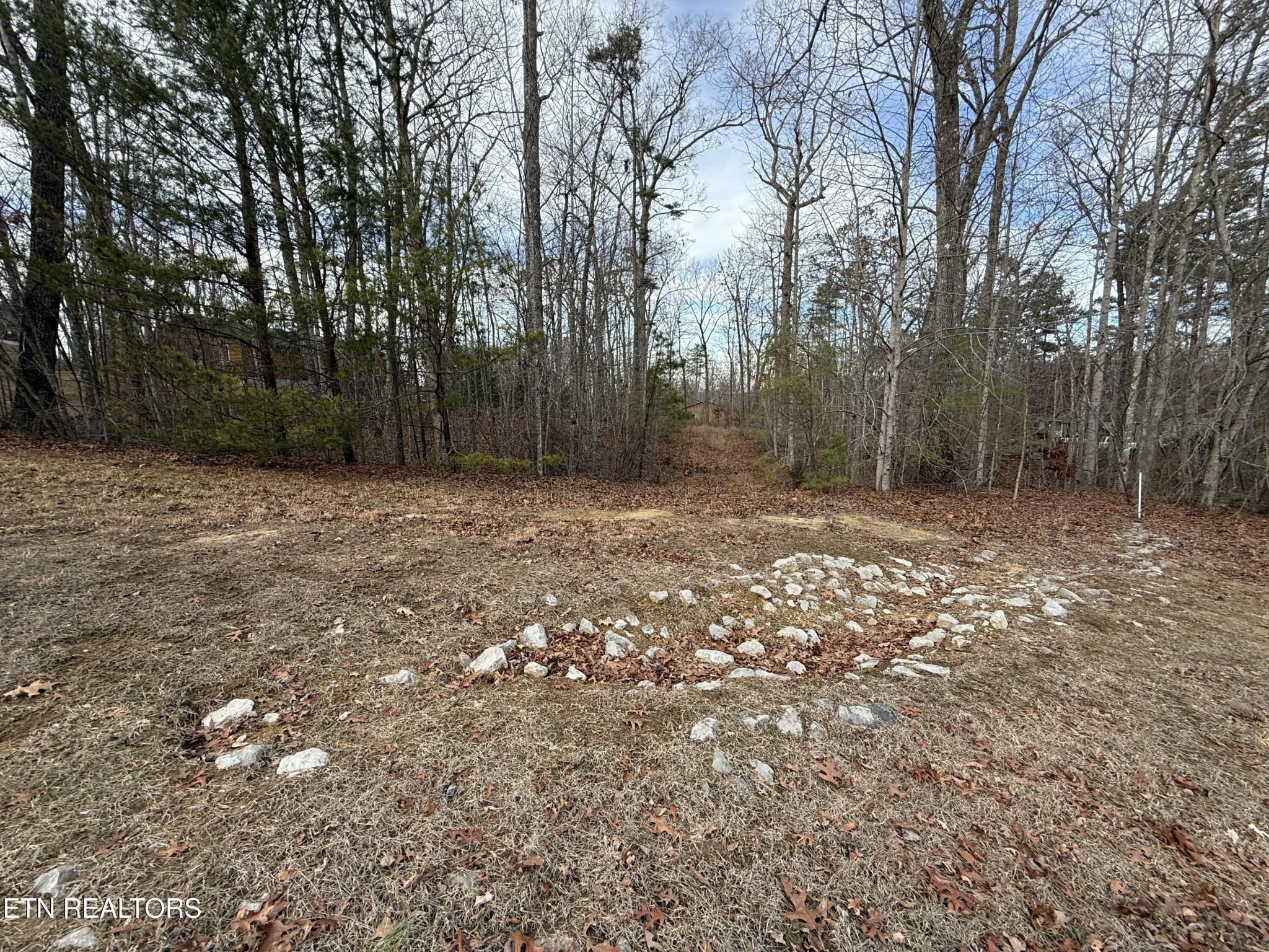 0 Cliffmont Road Jamestown, TN 38556 - Photo 6 of 8