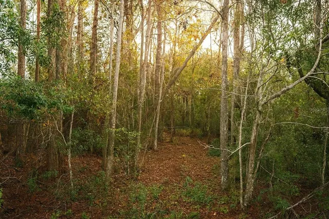 a view of a tennis court