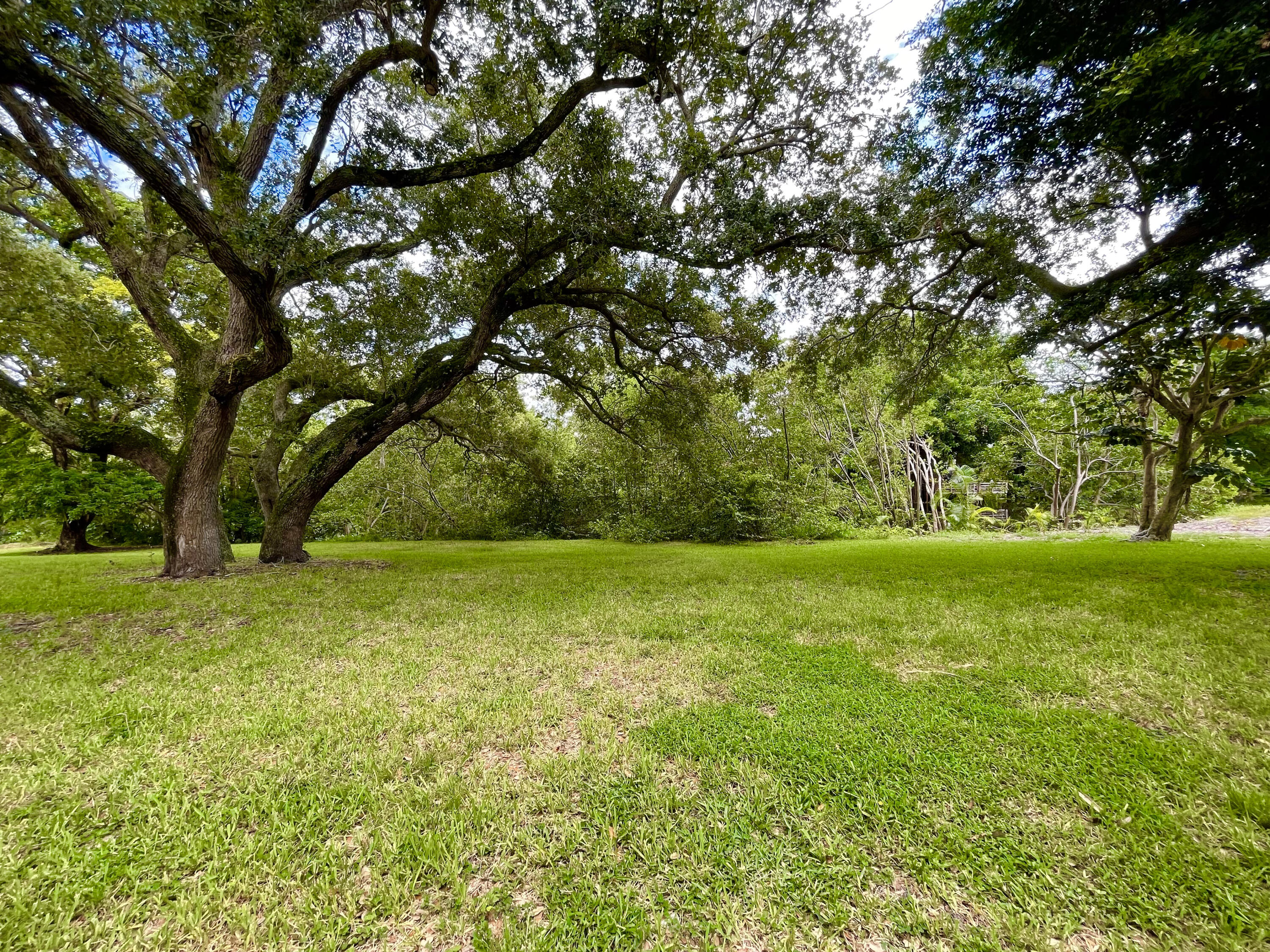 636 Northwest 13th Street, Unit 31 Boca Raton, FL 33486 - Photo 27 of 32 No neighbors in back