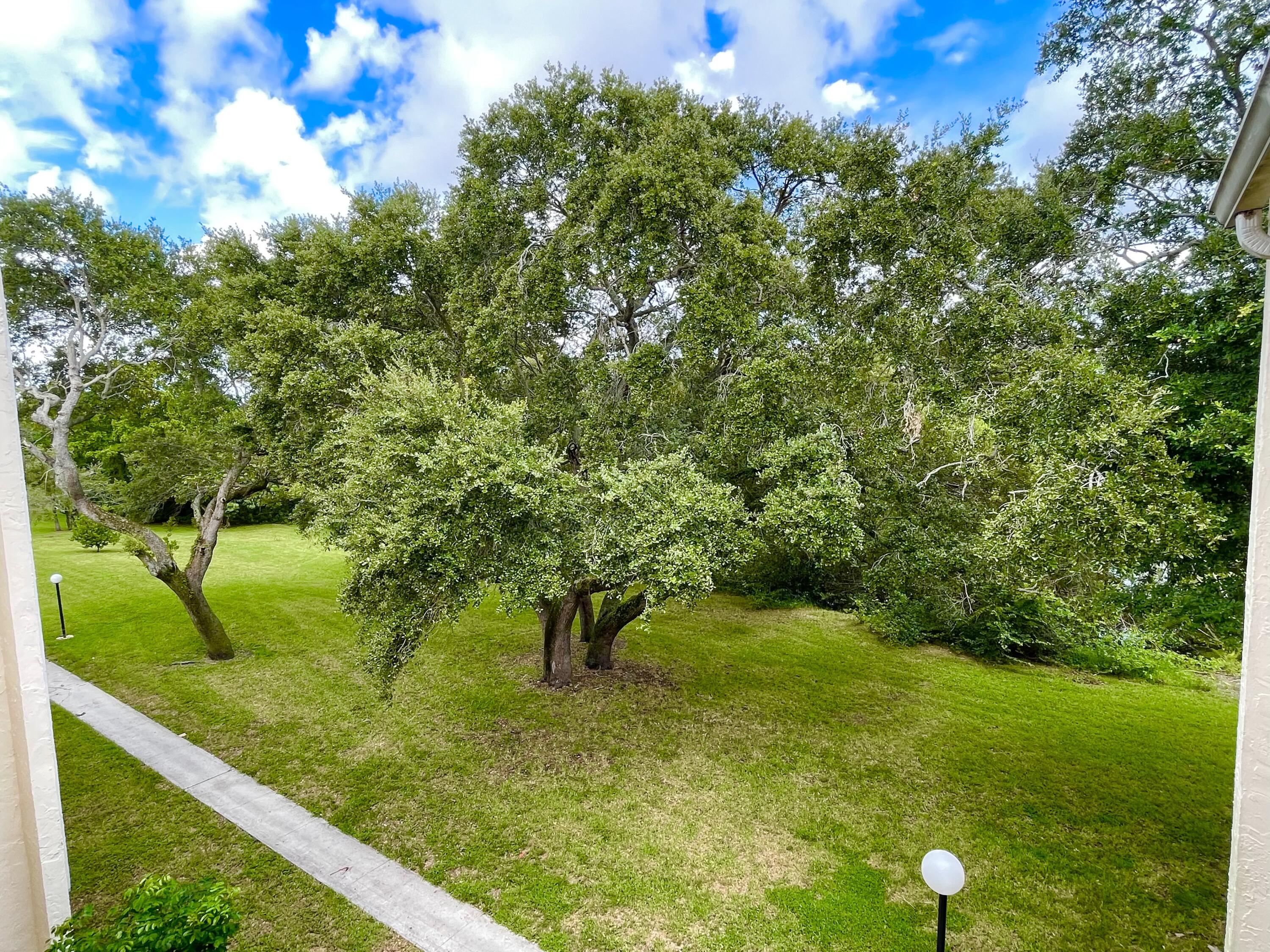 636 Northwest 13th Street, Unit 31 Boca Raton, FL 33486 - Photo 3 of 32 Beautiful nature in back