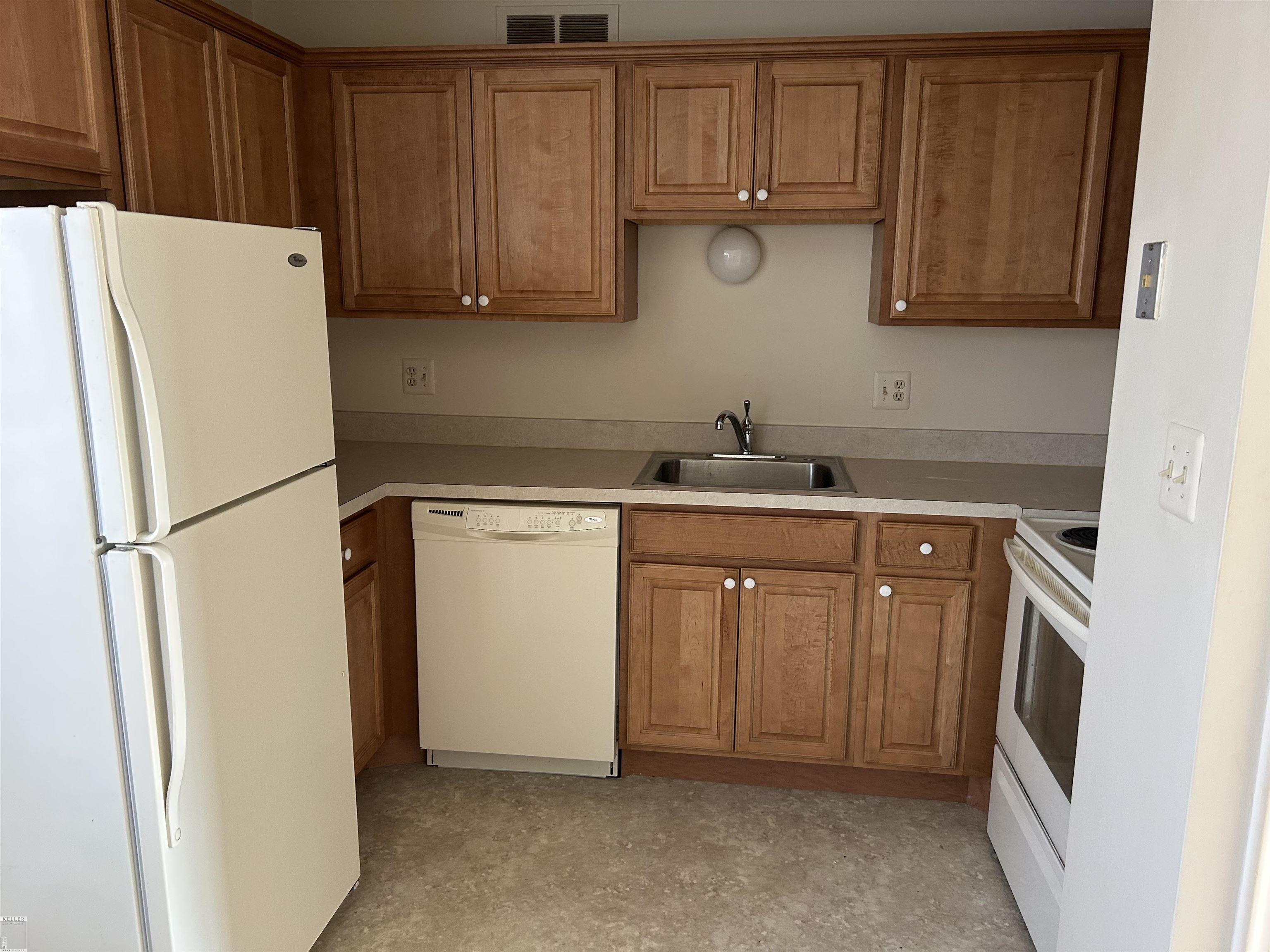 321 Spring Street, Unit 321 Romeo, MI 48065 - Photo 8 of 11