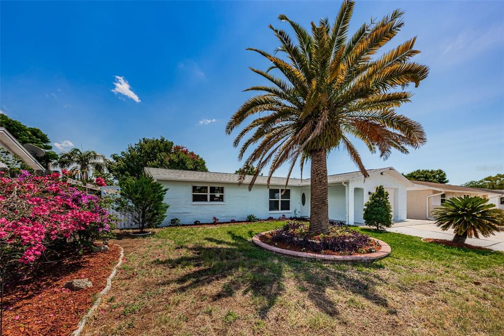 6422 Limerick Avenue New Port Richey, FL 34653 - Photo 1 of 1 Gallery Image 1